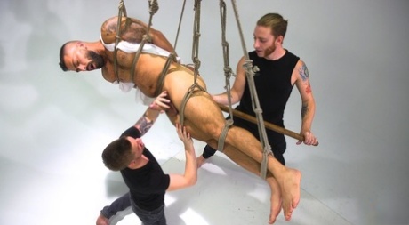 bedste homoseksuelle porno trekant voksen xxx billeder