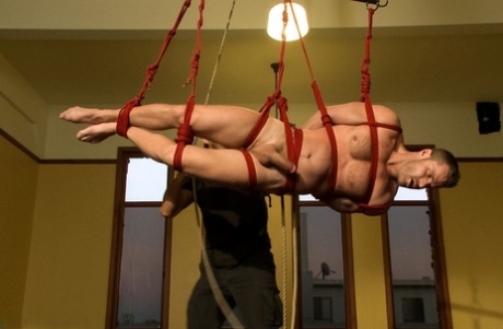 homoseksuel porno pornografiske nøgenbilleder billede