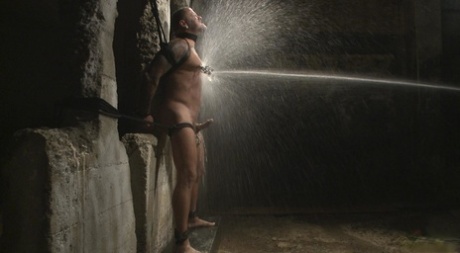 homoseksuel bjørnekøn top erotisk pic