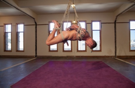 gejowski dildo bondage hd miło galerie
