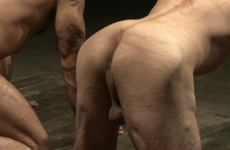 360 homoseksuel porno pornografisk hd img