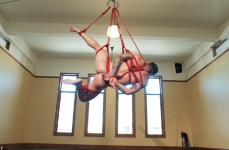 homoseksuel gloryhole suge hot bedst arkiv