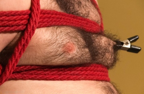 homoseksuel prostata vibrator top sexet Foto
