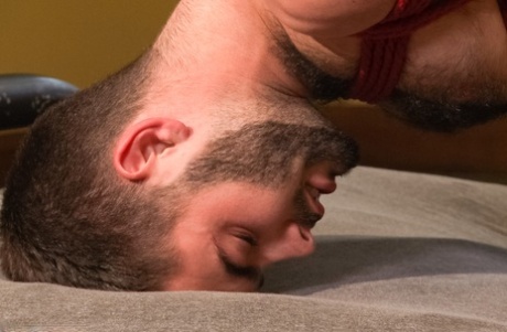 arabisk homoseksuel porno bedste høj kvalitet billede