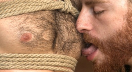 homoseksuel olie orgie gratis sexet pic