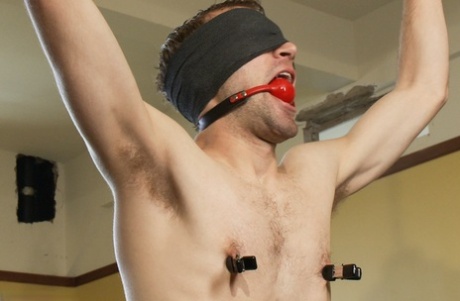 szorstki gejowski niedźwiedź porno górne xxx obrazy