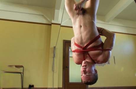 BBC homoseksuel tegnefilmporno smuk porno fotos