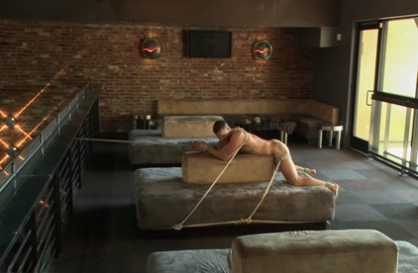 spiderman gejowski bondage hd piękne zdjęcie
