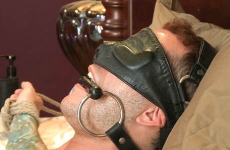 stor hård homoseksuel porno nøgenbilleder perfekt galleri