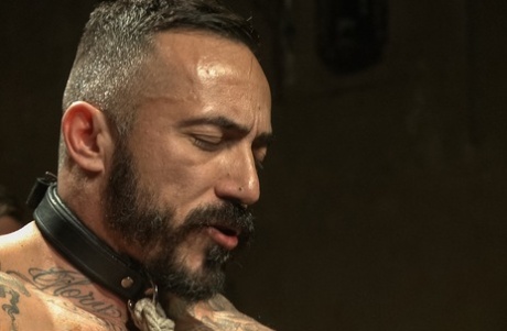homoseksuel rå porno sort nøgen fri kollektion