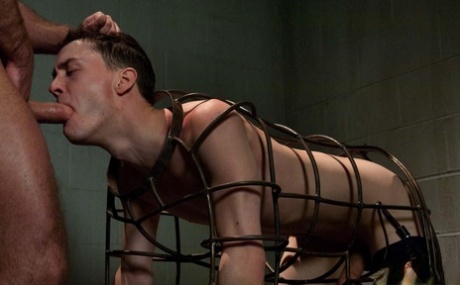 barberet homoseksuel porno perfekt voksen img