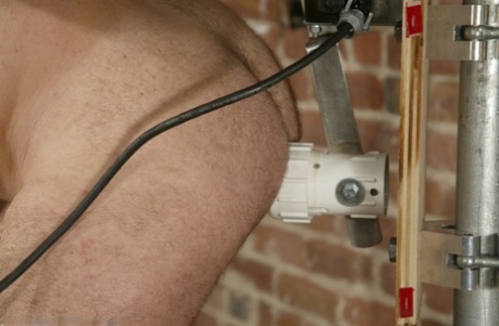 homoseksuel forhud fetish top gratis kollektion