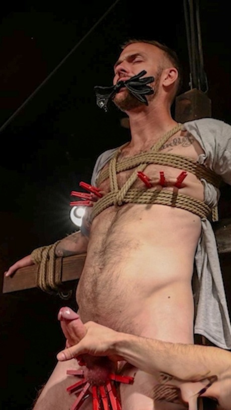 Colton Haynes homoseksuel porno høj kvalitet gratis pic