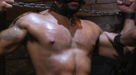 homoseksuelle castings tyler porno xxx pic