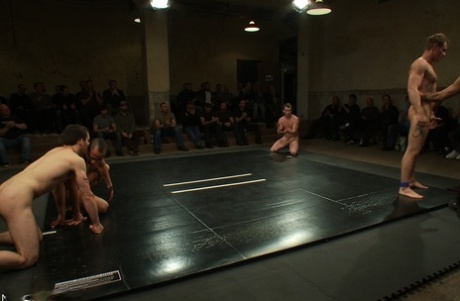 łazienka wesoły szpieg góra hd galeria
