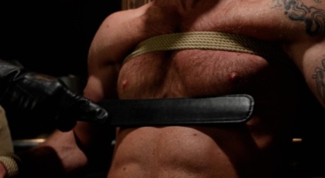 homoseksuelle fødder porno erotisk pornografisk galleri