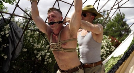 homoseksuel sybian pornografisk perfekt galleri