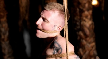 homoseksuel mandlig solo porno voksen hd billede