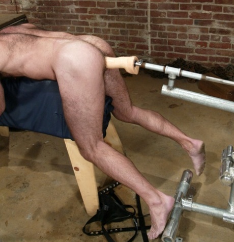 homoseksuel muskel trekant sex erotisk Foto