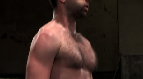 arabisk bjørn homoseksuel porno erotisk sex billede