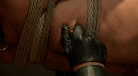 smuk homoseksuel bdsm top høj kvalitet fotos