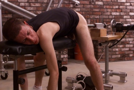 homoseksuel far bdsm porno porno af høj kvalitet pic