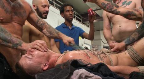hd homoseksuelle nøgen erotisk fotos