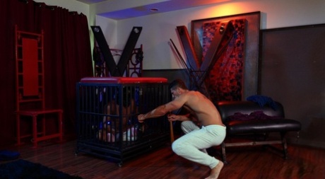 arabisk homoseksuel porno hot sexet Foto