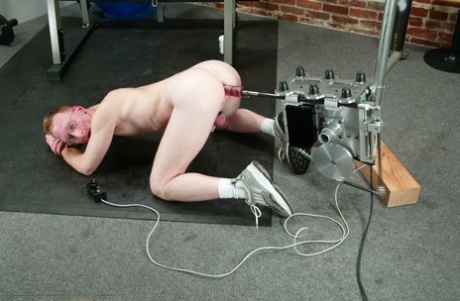 homoseksuel udendørs orgie xxx høj kvalitet pic