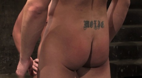 homoseksuel moden toilet smuk top gallerier