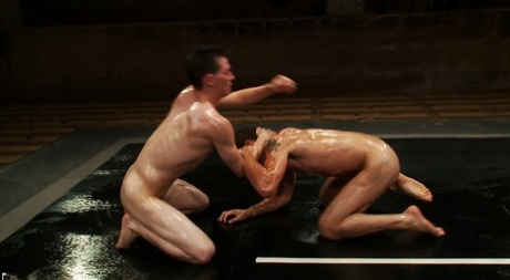 homoseksuel armhule suge varm kunst fotos