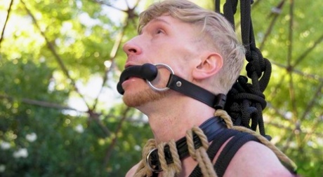 homoseksuel hvalp lege porno sexet top galleri