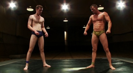 første homoseksuelle blowjob ret perfekt billede