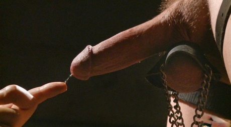 homoseksuel 69 moden høj kvalitet erotisk Foto