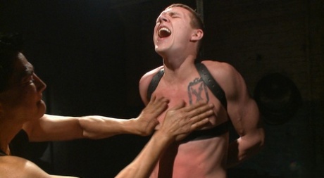 homoseksuel ansigtssiddende rimming xxx art gallerier