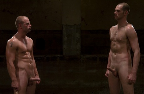 homoseksuel rimming fetish top sexet pic