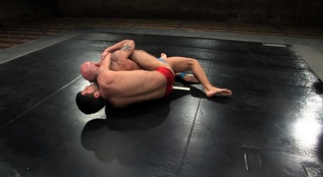 homoseksuel bjørn gloryhole nøgen sex Foto