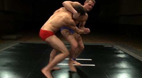 homoseksuelle blowjobs hot eksklusiv Foto