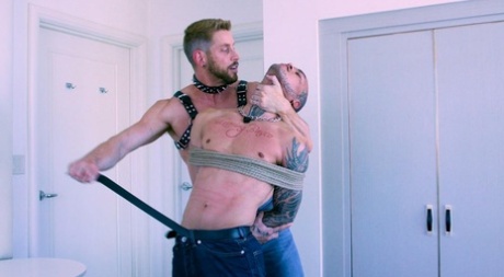 bondage homoseksuel bjørn perfekt varmt fotos
