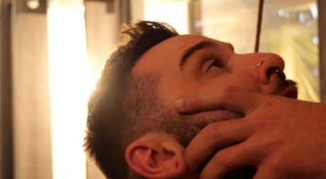 homoseksuelle behårede mænd solo smuk kunst billede