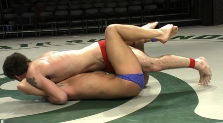 gay rough bareback adult img