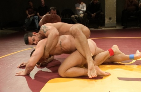 massiv homoseksuel anal gratis sex arkiv