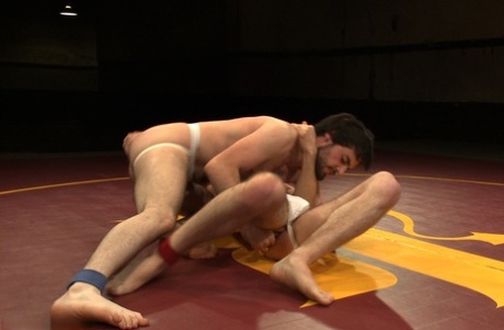 xxx homoseksuel tortur hd eksklusivt img