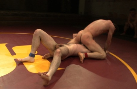 homoseksuel interracial kompilering kunst img