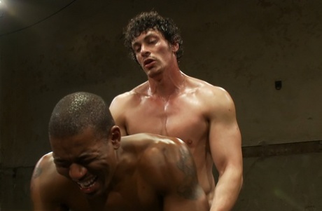 sorte homoseksuelle mænd hardcore sex top perfekt billede