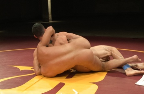 homoseksuel porno dejlig sex Foto