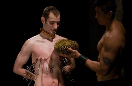 homoseksuel bdsm mester og slave smuk sexet galleri