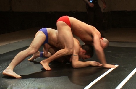 homoseksuel anal sexorgie top pornografisk kollektion