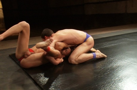 anus of gay pornographic archive