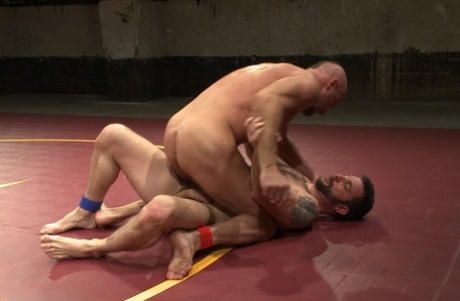 olieret homoseksuel porno dejlig eksklusiv kollektion